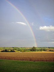 Rainbow over farmland
