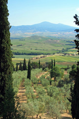 Ausblick auf das Val d’Orcia in der Toskana