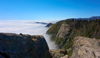 Fototapeta premium View over the mountain landscape and over the clouds - Moro Rock, Sequoia National Park, California, USA