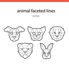 Animal faces of the line vector