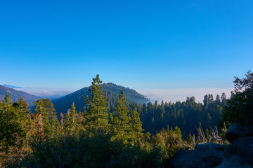 View over the hilly landscape and over the clouds - Sequoia National Park, California, USA