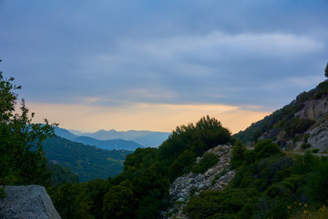 Scenic sunset over green blooming hill landscape