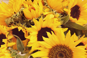 Naklejka premium Beautiful bouquet of sunflowers