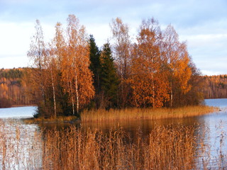 autumn landscape