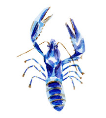 Image of fresh lobster illustration. Hand drawn watercolor on white background. printed on Printed Glass Splashbacks