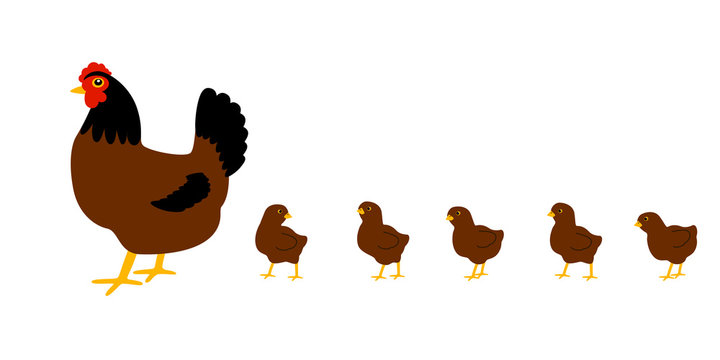 Hen with chickens. White background. Isolated. Vector