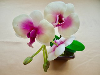White orchid, plastic artificial flower