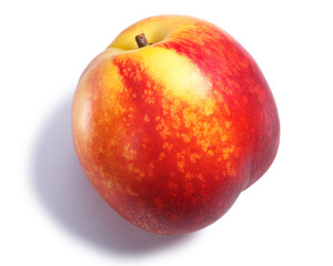 Nectarine or shaved peach, paths, top view
