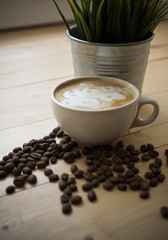 Cup of coffee with plant in pot