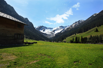 Fototapeta na wymiar Alps in Lichtenstein