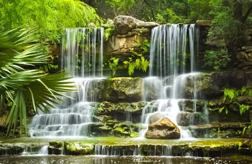 Foto op Plexiglas De watervallen in Prehistoric Park in Zilker Botanical Garden in Austin Texas © jfortner2015