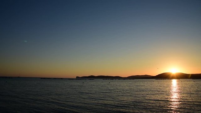 Seagull over the sea at sunset. Sardinia, Italy
