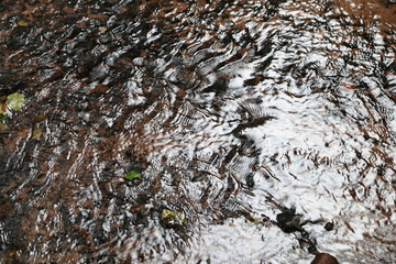 Wasser im Bachlauf