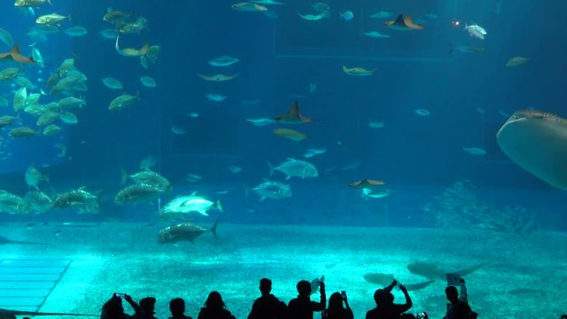 水族館