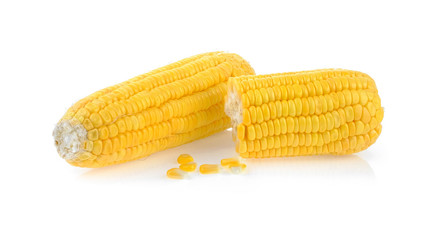 corn on white background