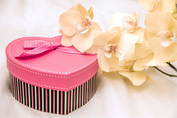 gift box in form of heart on the background of the yellow orchid 