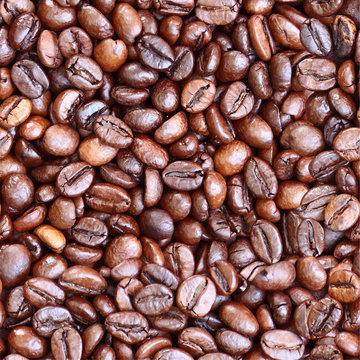 Seamless coffee beans background. Vector EPS 10 illustration.