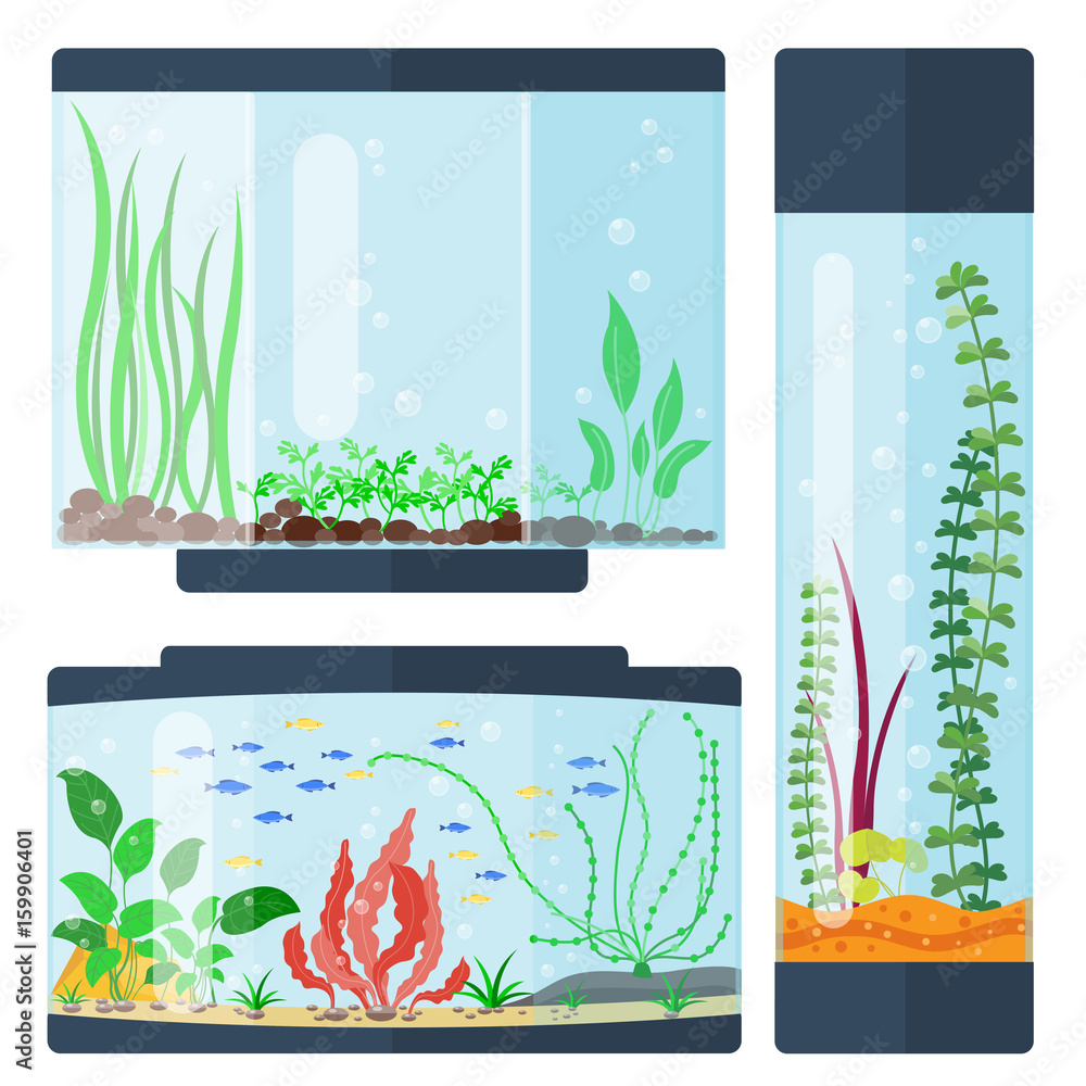 Wall mural transparent aquarium vector illustration habitat water tank house underwater fish tank bowl.