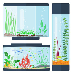 Transparent aquarium vector illustration habitat water tank house underwater fish tank bowl.