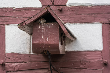 Vogelhäuschen beherbergt Sperling an der Fassade eines alten Fachwerkhauses