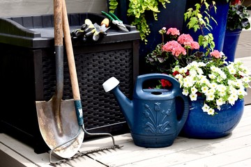 Yard and garden tools with wheelbarrow ready for weeding, pruning and harvesting