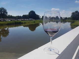 Kieliszek wina