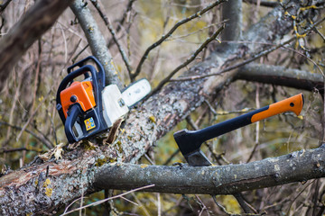 An axe and chainsaw are on the tree