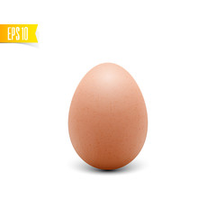 Egg on white background