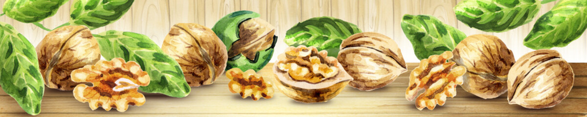 Panoramic image of walnut. Can be used for kitchen skinali. Watercolor