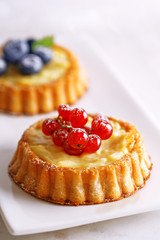 Tarts with berries (blueberry and red currant). Freshly baked dessert on a white background.