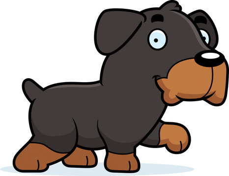 Cartoon Rottweiler Walking