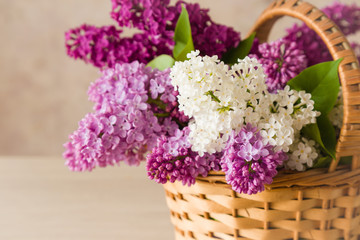 Beautiful, purple, pink and white lilac flowers in the basket. Cozy atmosphere with fresh, fragrant flowers.