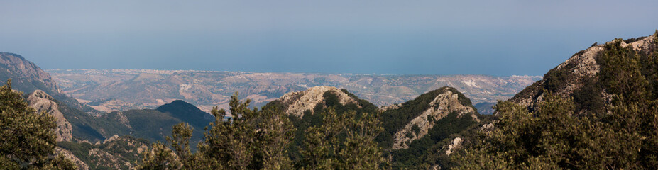 Italy Calabria Aspromonte - Old trees of beech -  The Aspromonte is a mountain massif in the province of Reggio Calabria,  southern Italy