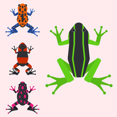 Frog cartoon tropical animal cartoon amphibian mascot character wild vector illustration.