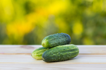 Fresh cucumbers on the wooden background