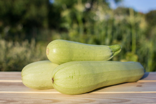 Fresh vegetable marrows on wooden table