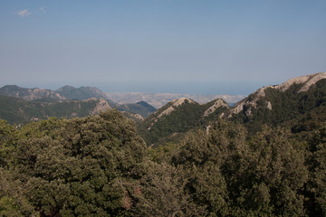 Italy Calabria Aspromonte - Old trees of beech -  The Aspromonte is a mountain massif in the province of Reggio Calabria,  southern Italy