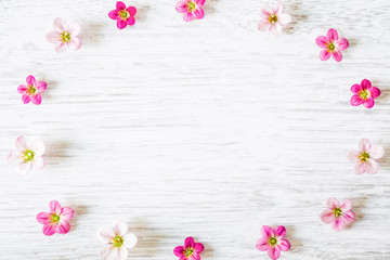 Fototapeta na wymiar Circle of pink and white flowers on the wooden background. Greeting card.