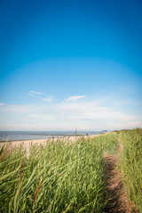 Blauer Himmel und Strand der Nordsee mit gr&uuml;nen Gras