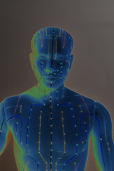 Medical acupuncture model of human head on gray background