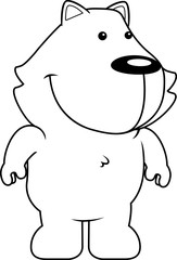 Baby Kitten