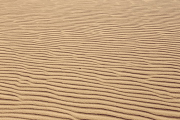 Lines in the sand of a beach, close up