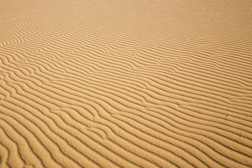 Fototapeta na wymiar Lines in the sand of a beach, close up