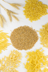 Different kinds of pasta. Grains of wheat and wheat spikelets. Top View. White background