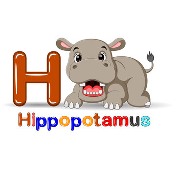 Animals alphabet: H is for Hippo
