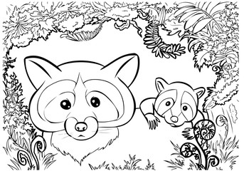 Raccon family - coloring page