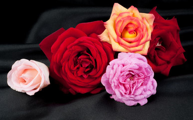 Colored roses on a silk black cloth