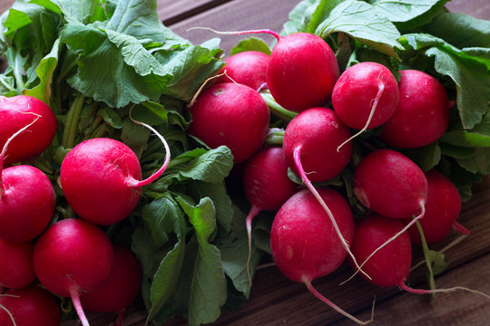 A bunch of radishes on a wooden table.