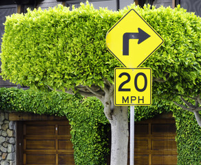 Speed and Right Turn Sign