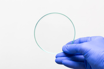 Empty petri dish for growing cultures of microorganisms in doctor hand , fungi and microbes. A...